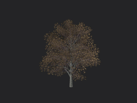 Tree 014 3D 모델
