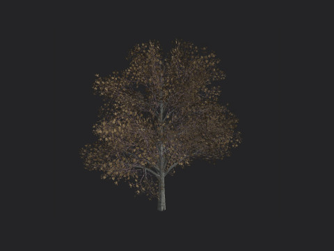 Tree 014 3D 모델