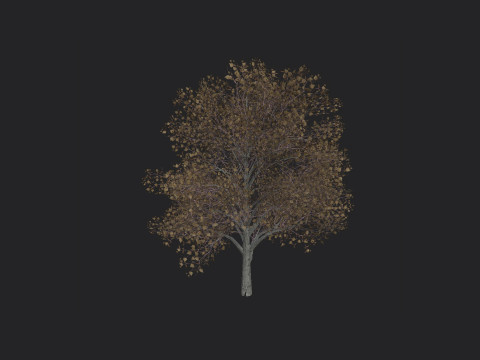Tree 014 3D 모델