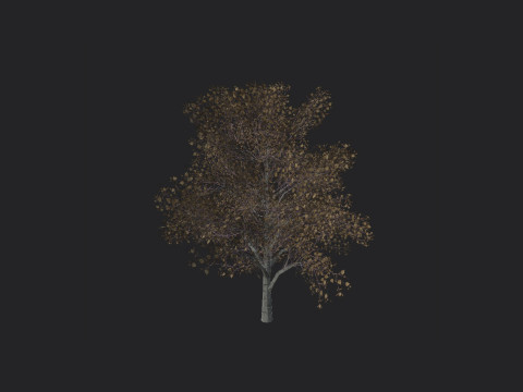 Tree 014 3D 모델