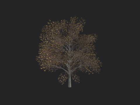 Tree 014 3D 모델