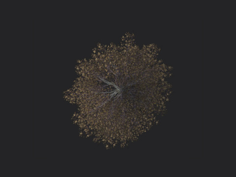 Tree 014 3D 모델