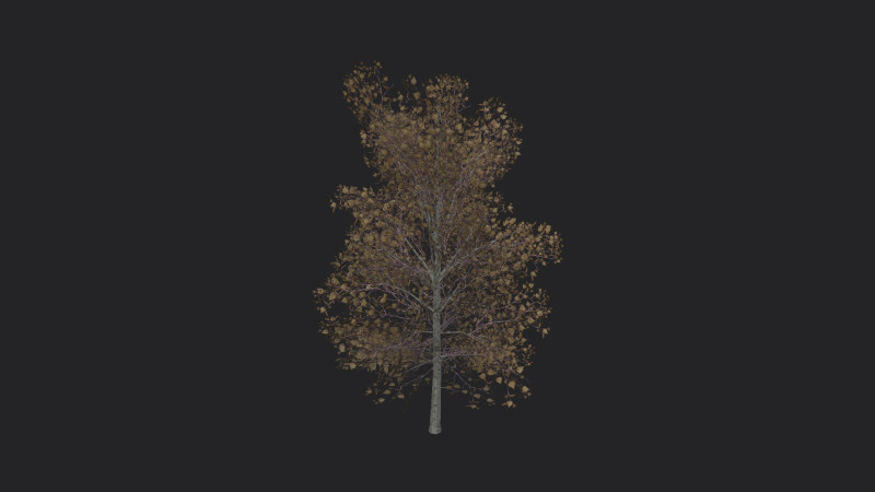 Tree 015 Modèle 3D .c4d .max .obj .3ds .fbx .stl .blend 