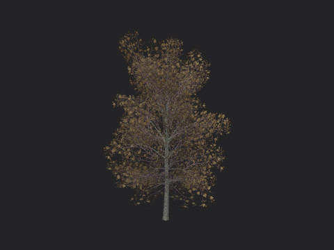 Tree 015 3D 모델