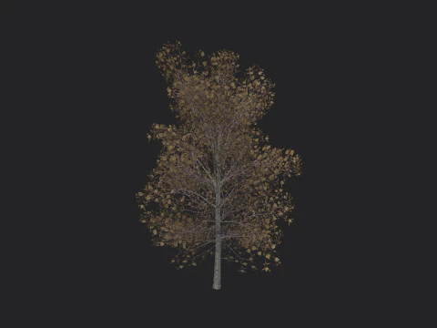 वृक्ष 015 3D मॉडल