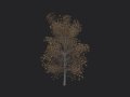 Tree 015 3D Model