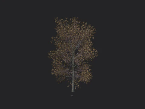 Tree 015 3D Model
