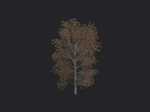 Tree 015 3D Model