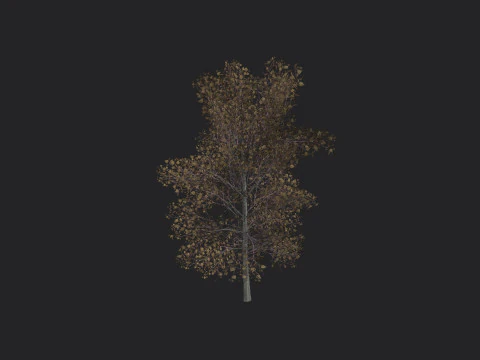 Tree 015 3D Model