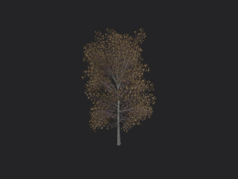 Tree 015 Modèle 3D