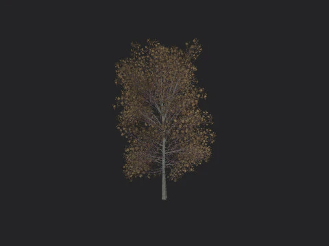 Tree 015 3D Model