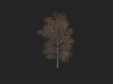 Tree 015 3D Model