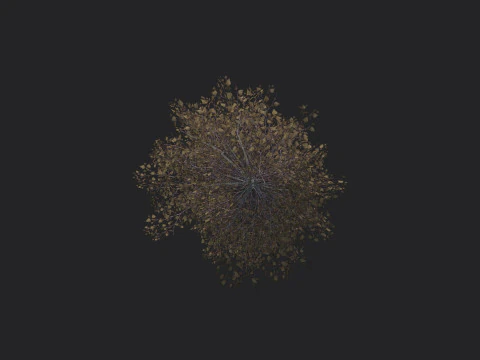 Tree 015 3D Model