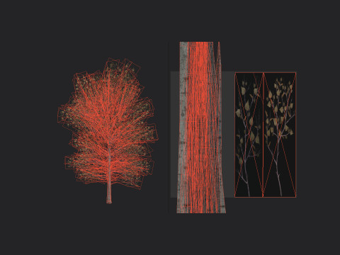 Tree 015 Modèle 3D