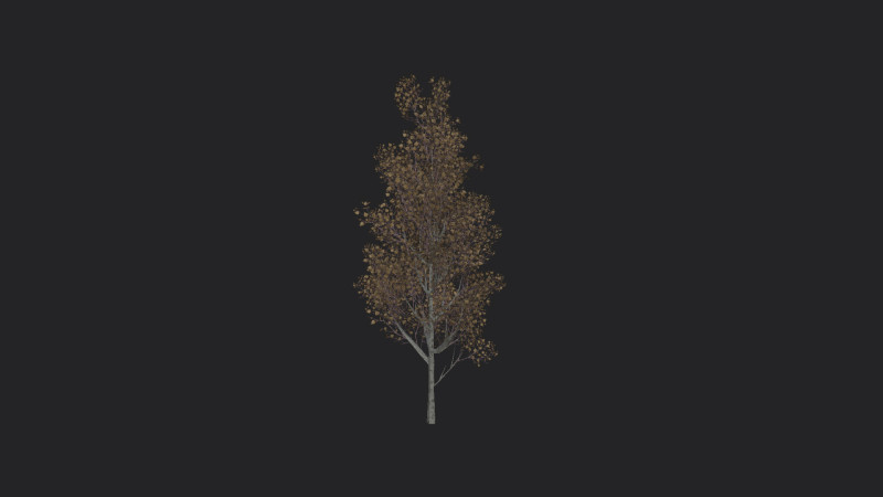 Tree 016 3D Model .c4d .max .obj .3ds .fbx .stl .blend 