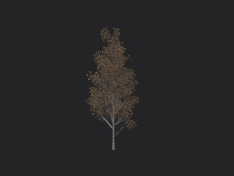 Tree 016 3D Model