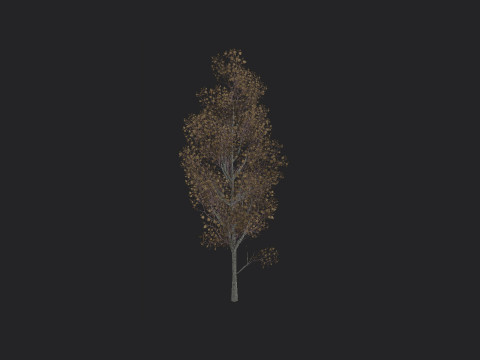 Tree 016 3D Model