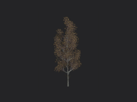 Tree 016 3D Model