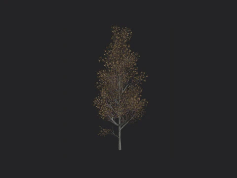 Tree 016 3D Model