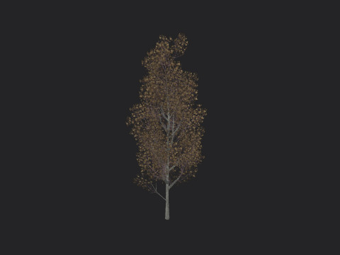 Tree 016 3D Model