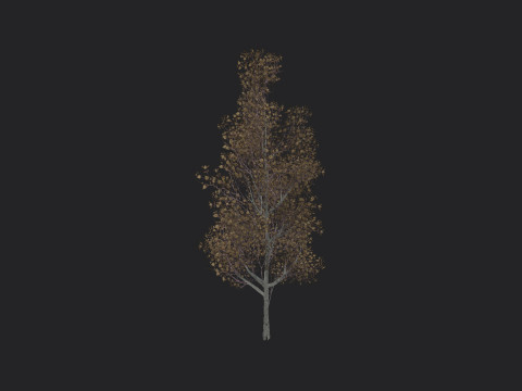 Tree 016 3D Model