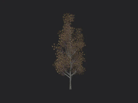 Tree 016 3D Model