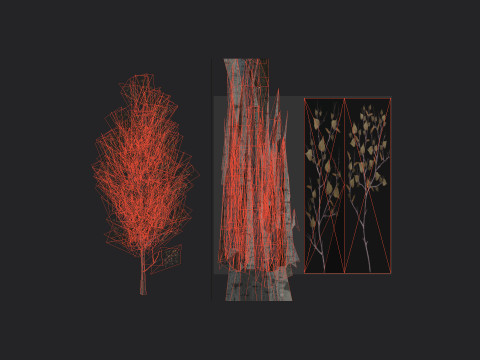 Tree 016 3D Model