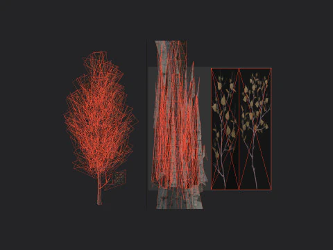 Tree 016 3D Model