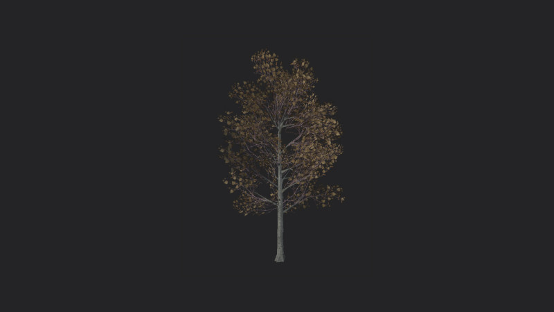 Tree 017 Modello 3D .c4d .max .obj .3ds .fbx .stl .blend 