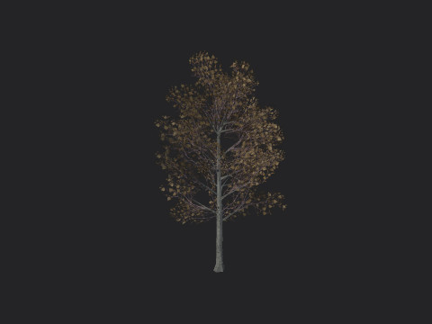 Tree 017 3D Model