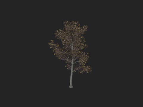 Tree 017 Modello 3D