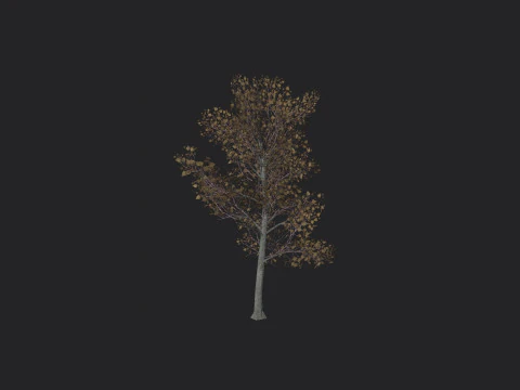 Albero 017 Modello 3D
