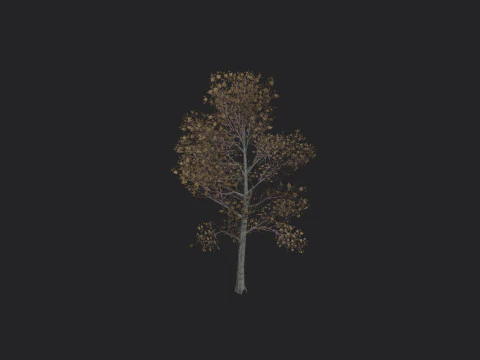 Albero 017 Modello 3D