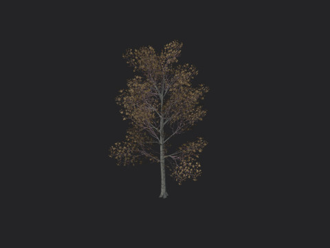 Tree 017 Modello 3D