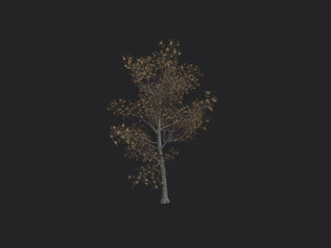 Albero 017 Modello 3D
