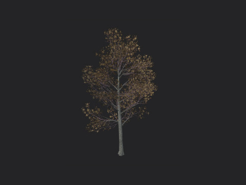 Tree 017 Modello 3D