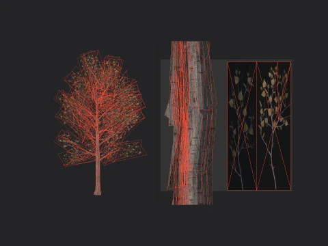 Albero 017 Modello 3D