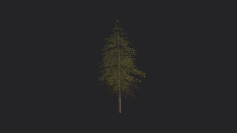 Tree 018 3D 모델 .c4d .max .obj .3ds .fbx .stl .blend 