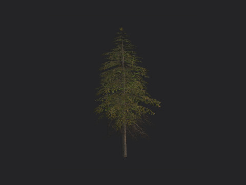 Tree 018 3Dモデル