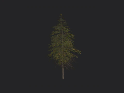 Albero 018 Modello 3D