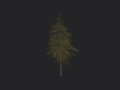 Tree 018 3D Model