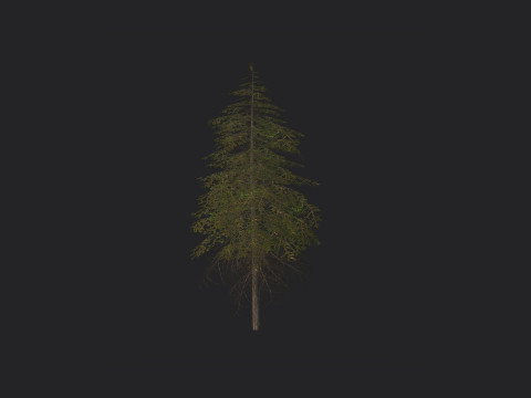 Tree 018 3D 모델