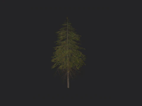 Tree 018 3D Model