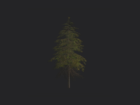 Tree 018 3D 모델
