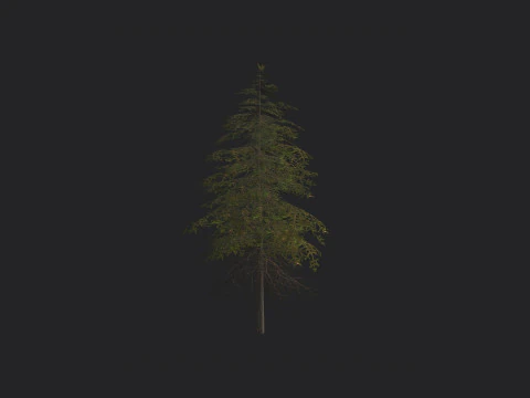Tree 018 3D Model