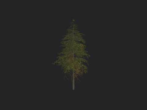 Tree 018 3D Model