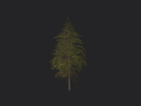 Tree 018 3D 모델