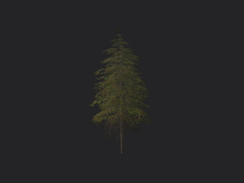 Tree 018 3D 모델