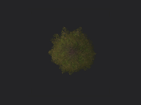 Tree 018 3D 모델