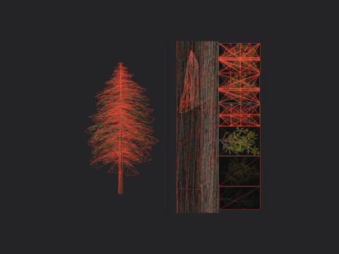 Tree 018 3D 모델